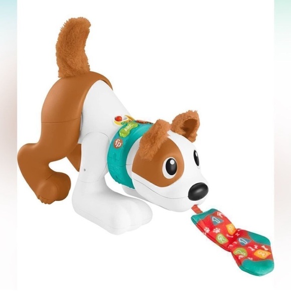 The Fisher-Price® 123 Crawl With Me Puppy Interactive Toys Learning  Education - Picture 1 of 1